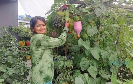 राधा ढकाल र उनको कौसीखेती। तस्बिरः सुनिता सिटौला/सेतोपाटी